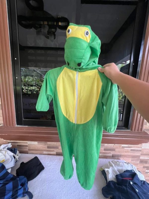 Dinosaur Custom Liquidation Pallets - Image 7